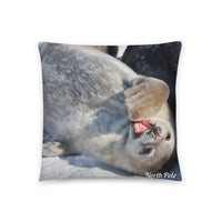 Coussin Pole Nord (Baby phoque) Home Travel World Store