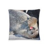 Coussin Pole Nord (Baby phoque) Home Travel World Store
