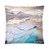 Coussin Pole Nord (Baby phoque) Home Travel World Store