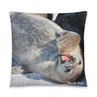 Coussin Pole Nord (Baby phoque) Home Travel World Store